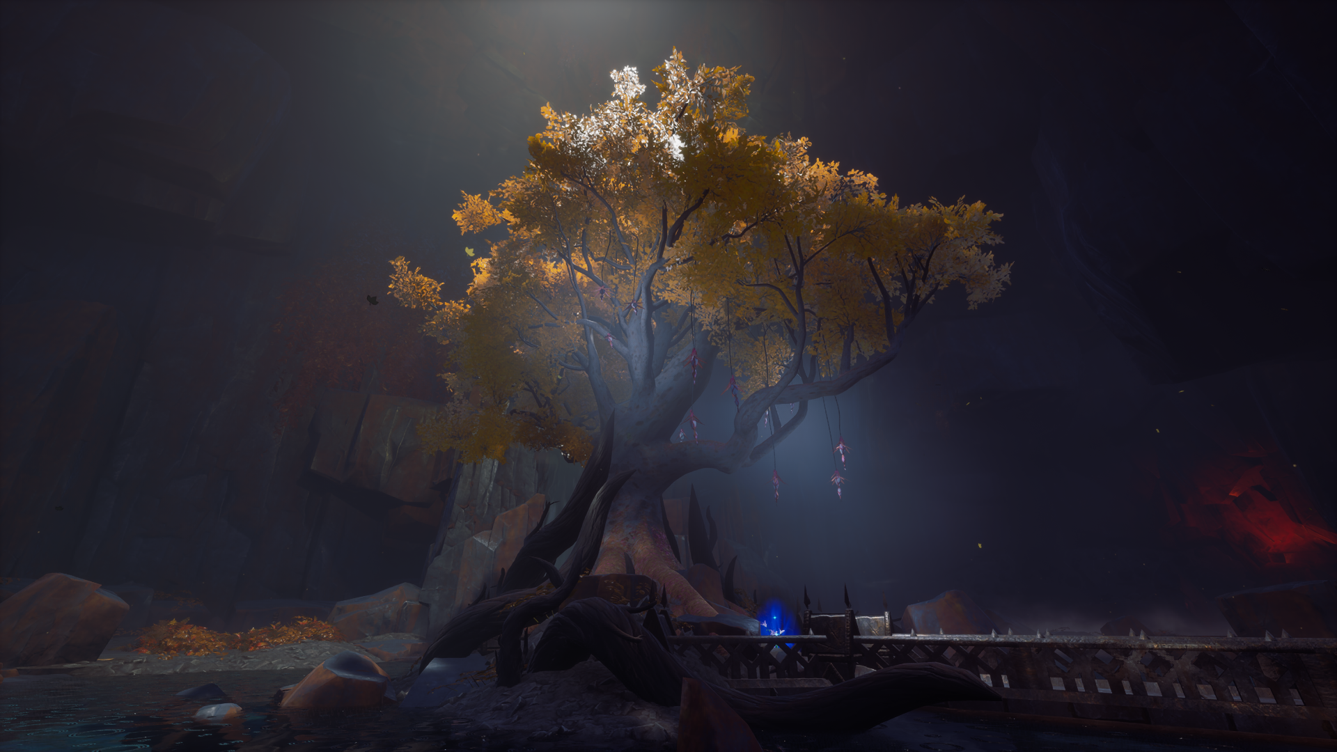 A anima tree under Dowdun Reach