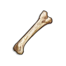 Animal Bone