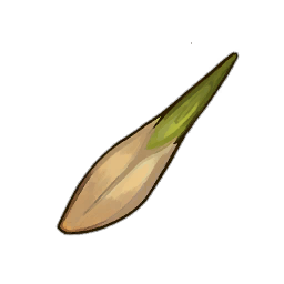 Ash Tree Seed