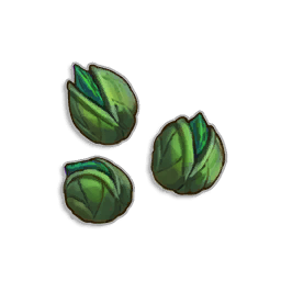 Avantoe Seeds
