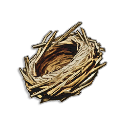 Bird Nest