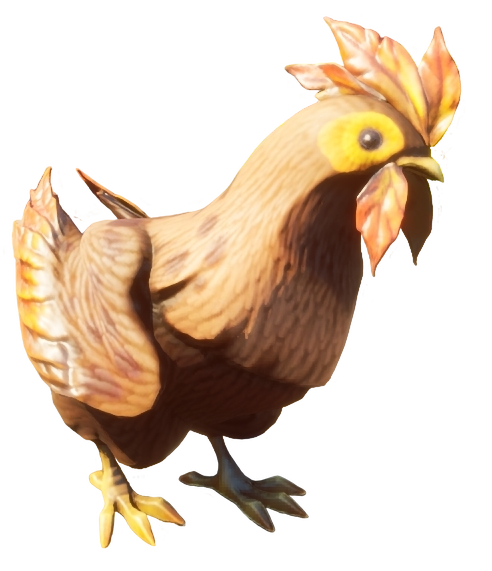 Chicken