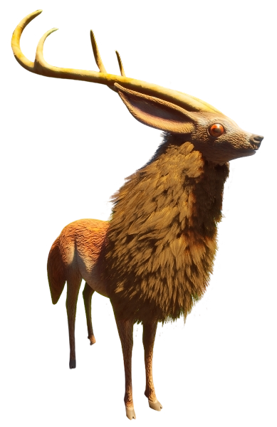 Deer