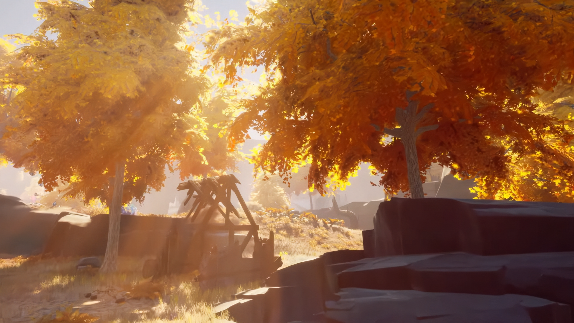 New trees appearance