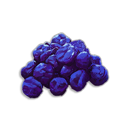 Dried Dwellberries