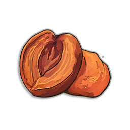 Dried Peach