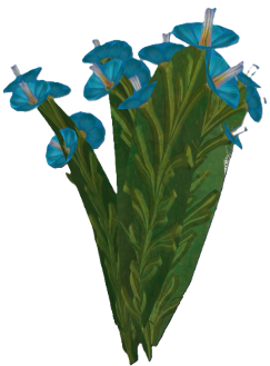 Flax (plant).png: Dragonwilds Inventory image of Flax (plant)