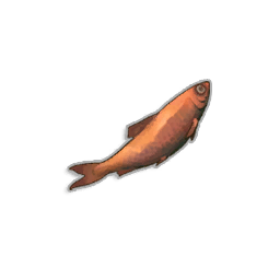 Fried Sardine