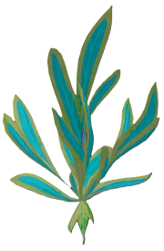 Harralander (plant).png: Dragonwilds Inventory image of Harralander (plant)