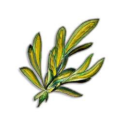 Marrentil