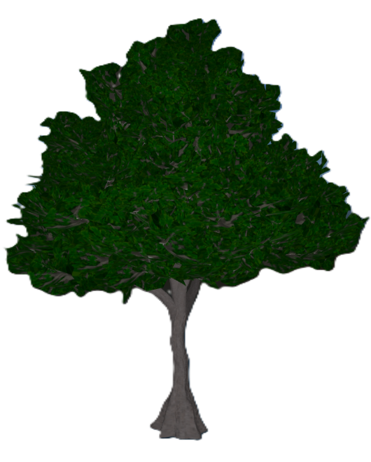Oak Tree.png: Dragonwilds Inventory image of Oak Tree