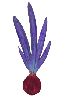 Onion (plant).png: Dragonwilds Inventory image of Onion (plant)