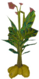 Potato (plant).png: Dragonwilds Inventory image of Potato (plant)