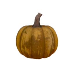 Pumpkin (plant).png: Dragonwilds Inventory image of Pumpkin (plant)