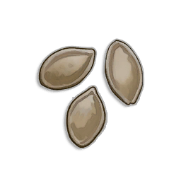Pumpkin Seeds.png: Dragonwilds Inventory image of Pumpkin Seeds