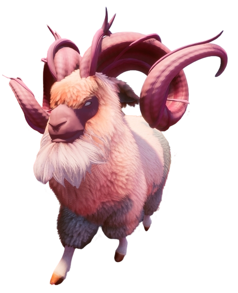 Ram
