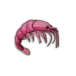 Raw Giant Krill