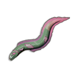 Raw Undead Eel