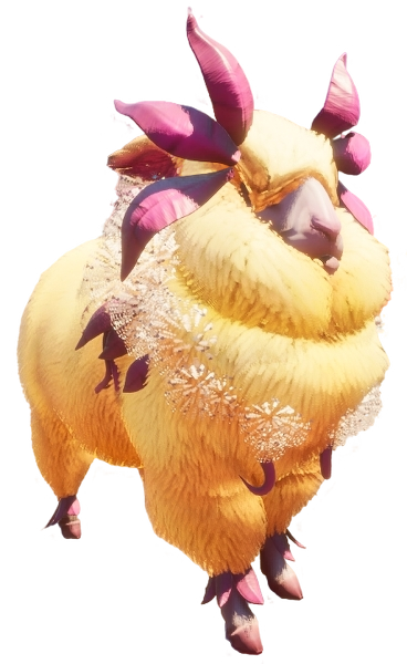 Sheep