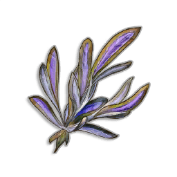 Snapdragon