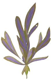 Snapdragon (plant).png: Dragonwilds Inventory image of Snapdragon (plant)