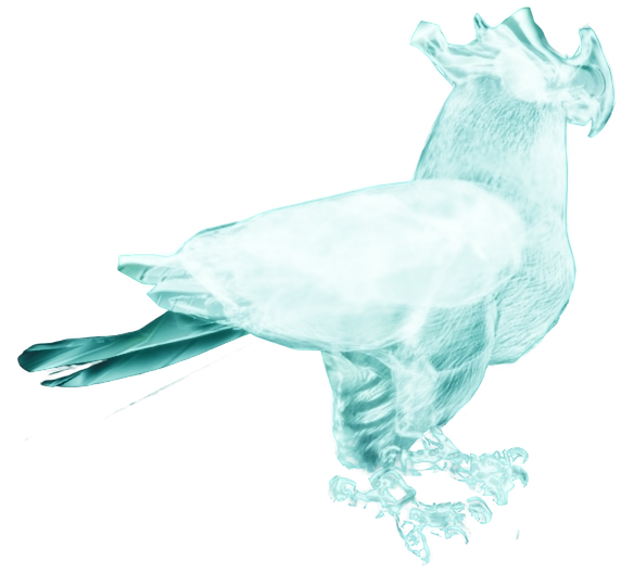 Spectral Bird