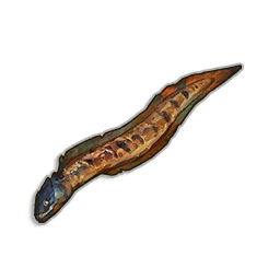 Steamed Beltfish