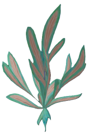 Toadflax (plant).png: Dragonwilds Inventory image of Toadflax (plant)