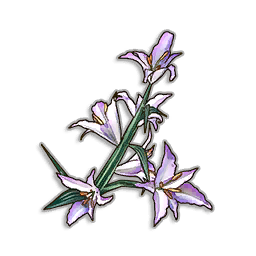 Twilight Lily