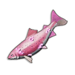 Unusual Trout