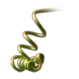 Vine Root