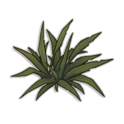 Weeds