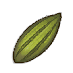 Willow Tree Seed