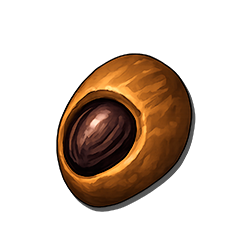 Yew Tree Seed
